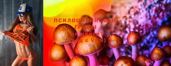 кокс Алзамай