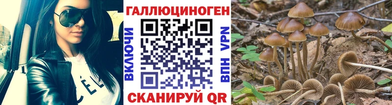 Псилоцибиновые грибы прущие грибы  купить   мега вход  Большой Камень 