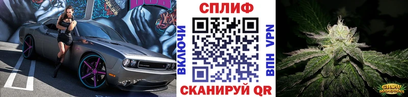 Конопля OG Kush  сколько стоит  Большой Камень 